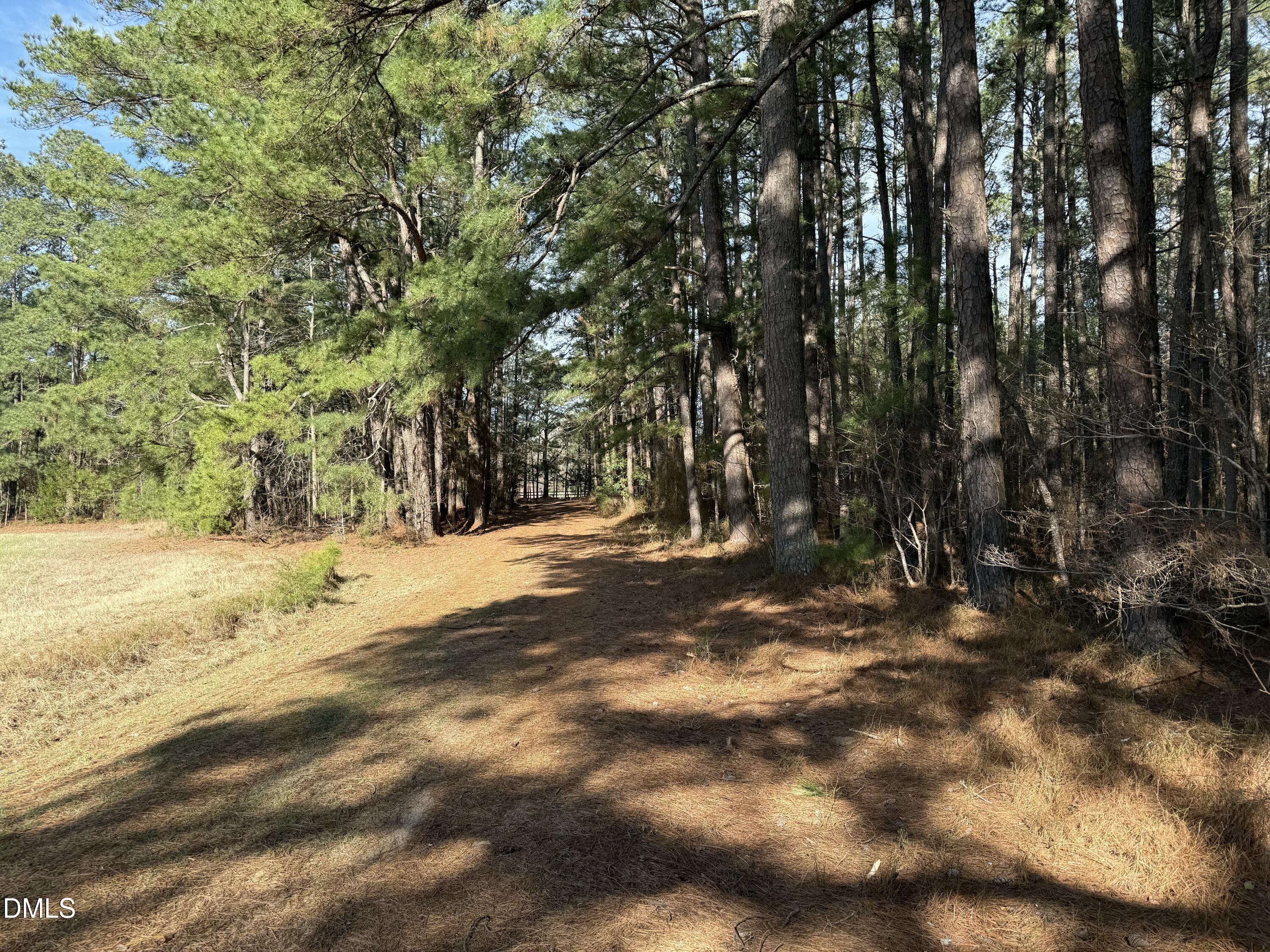 Lots 4 & 5 Simon Collie Road