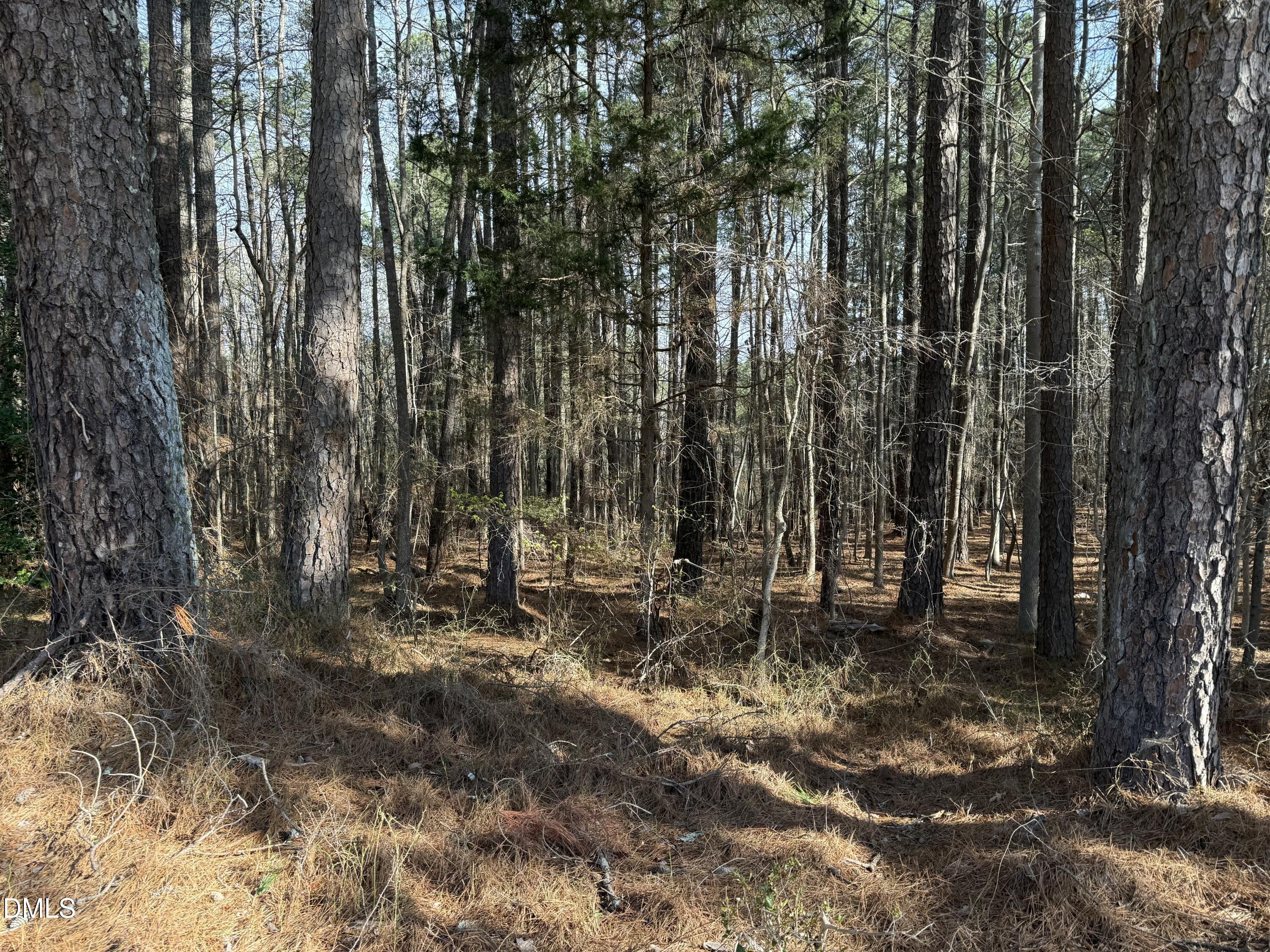 Lots 4 & 5 Simon Collie Road