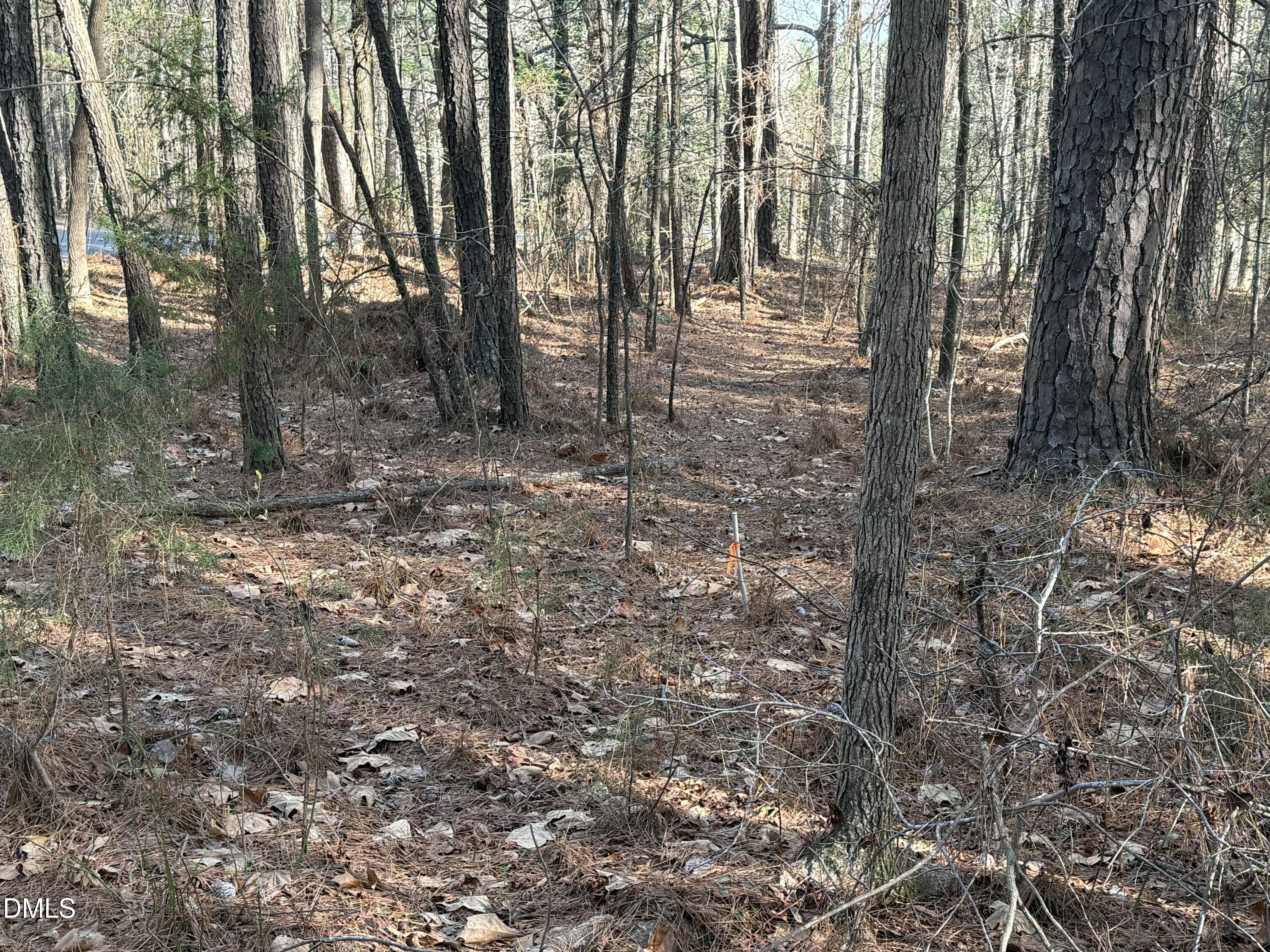 Lots 4 & 5 Simon Collie Road