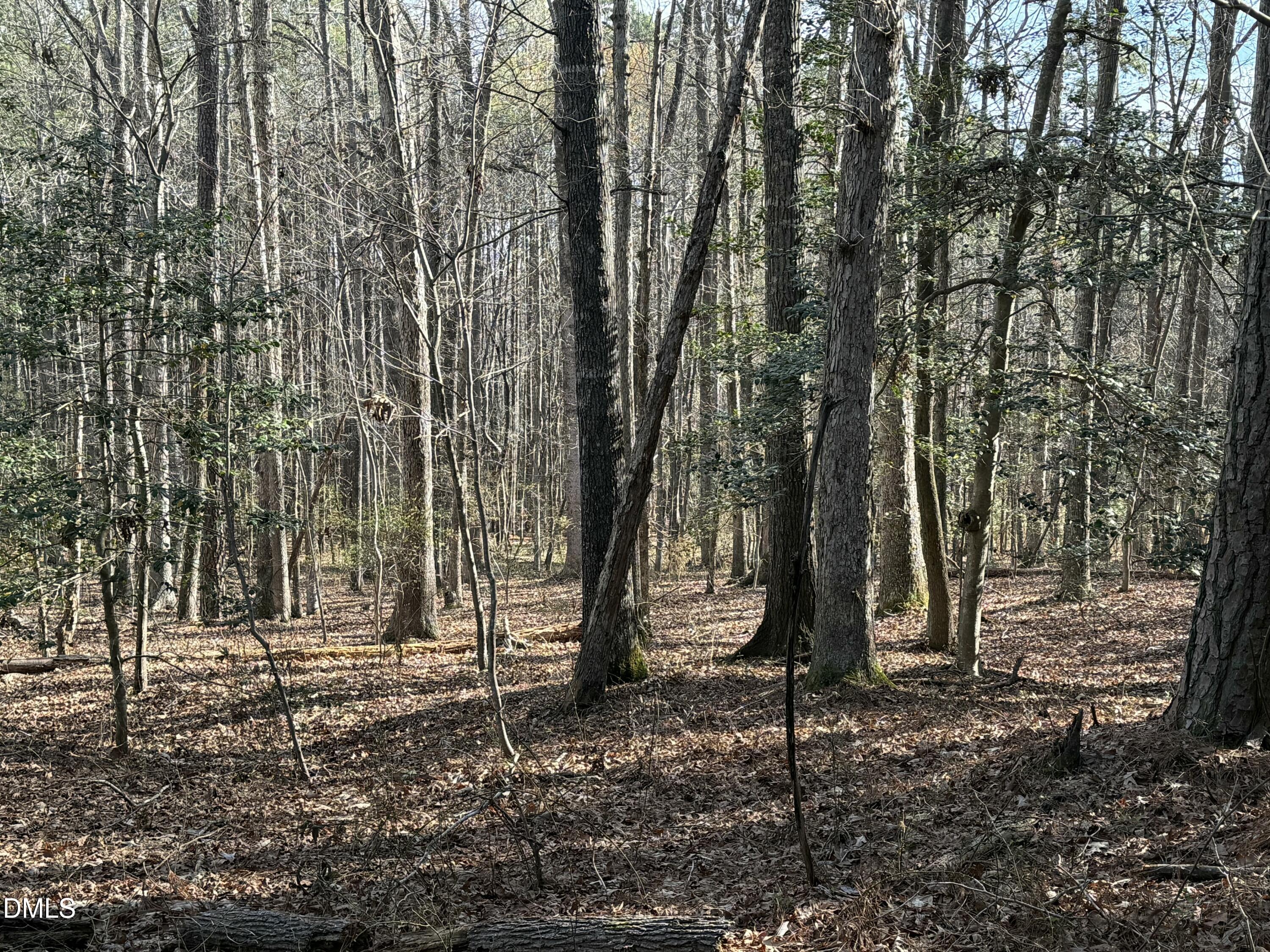 Lots 4 & 5 Simon Collie Road