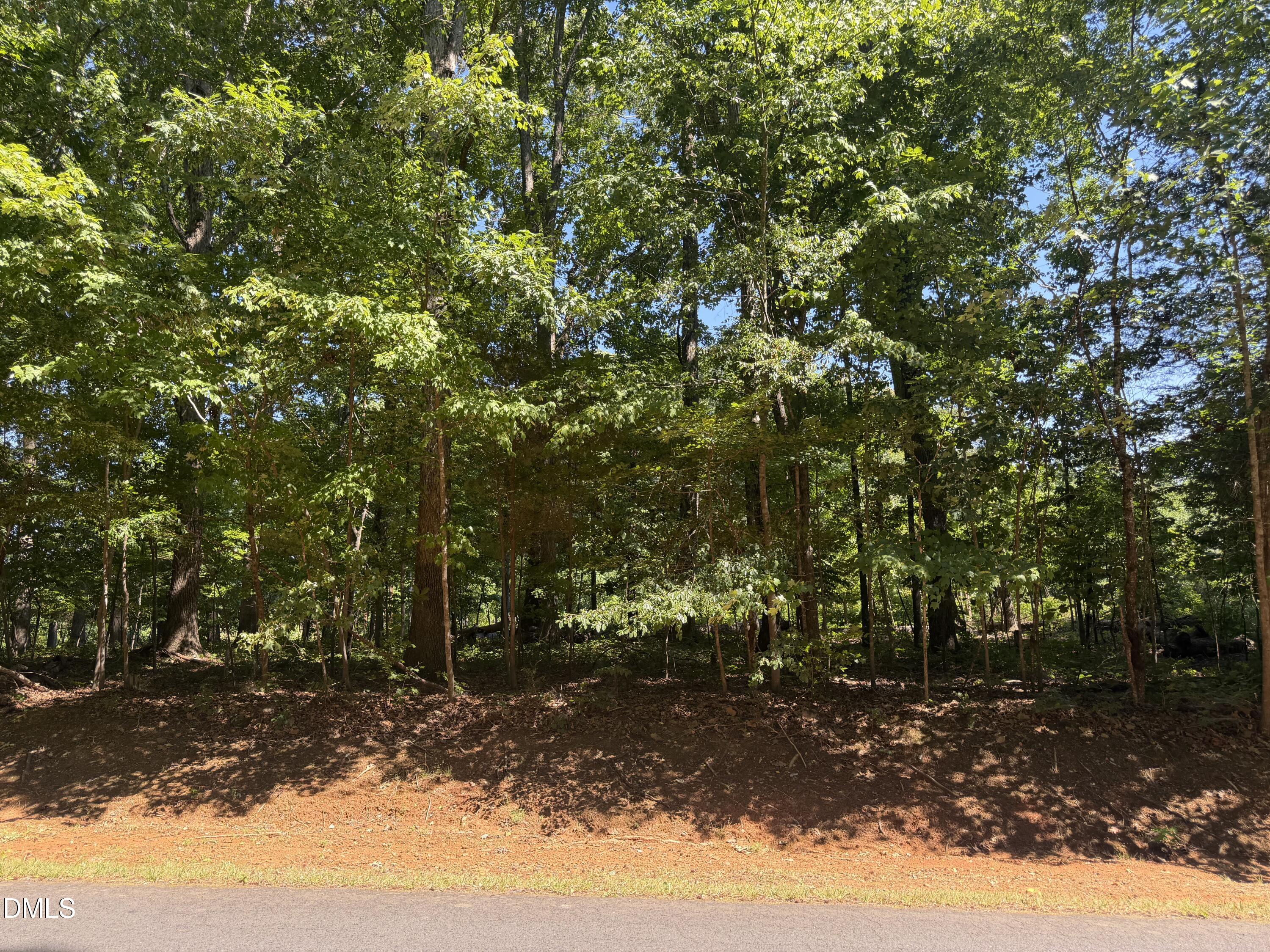 0 Pine Forest Drive S