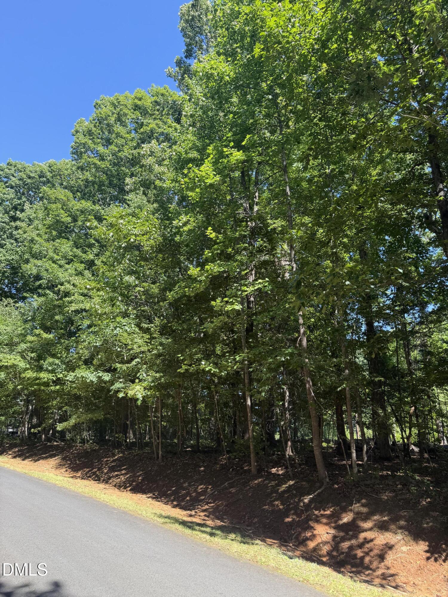 0 Pine Forest Drive S