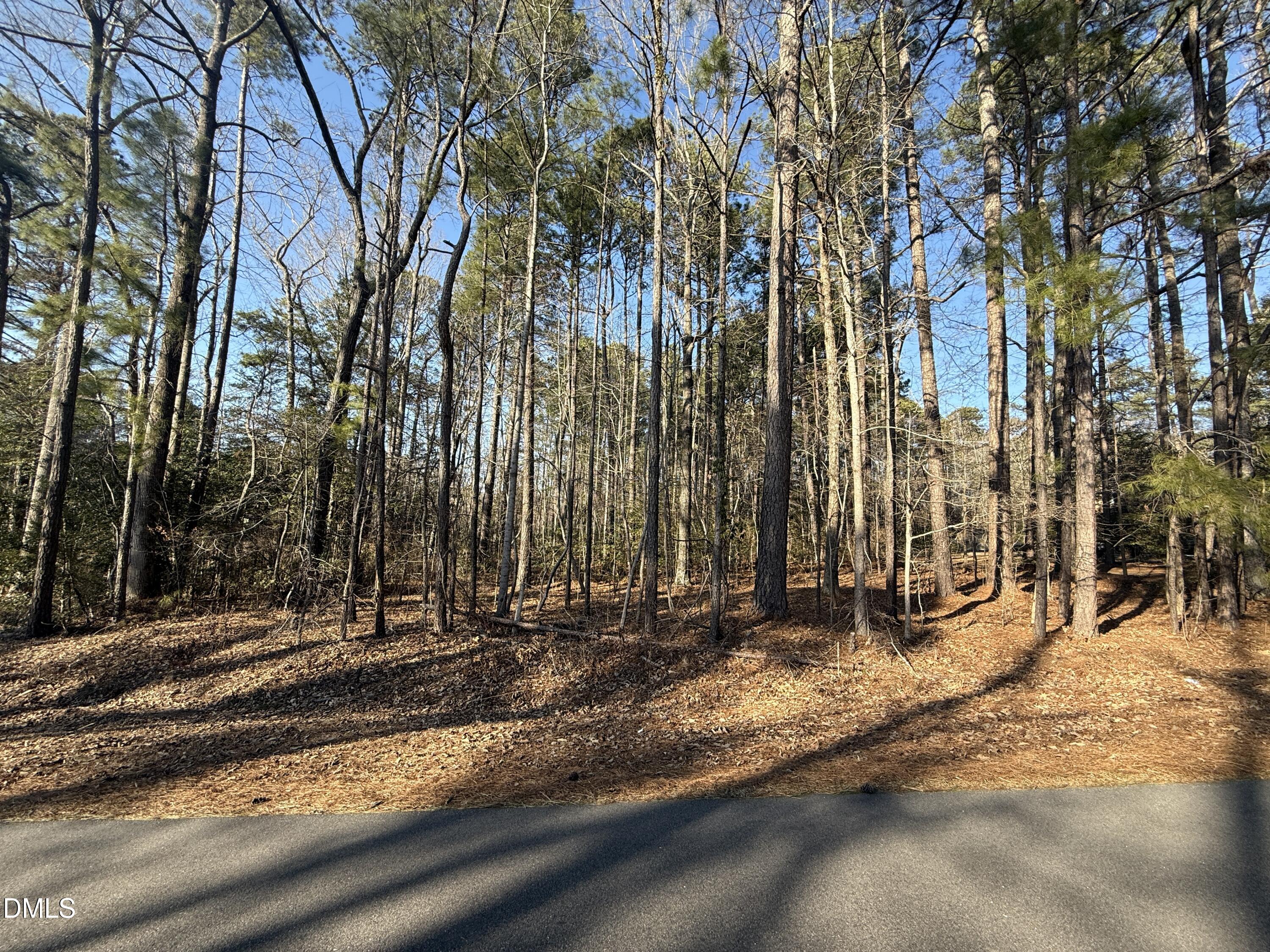 105 Winchester Drive
