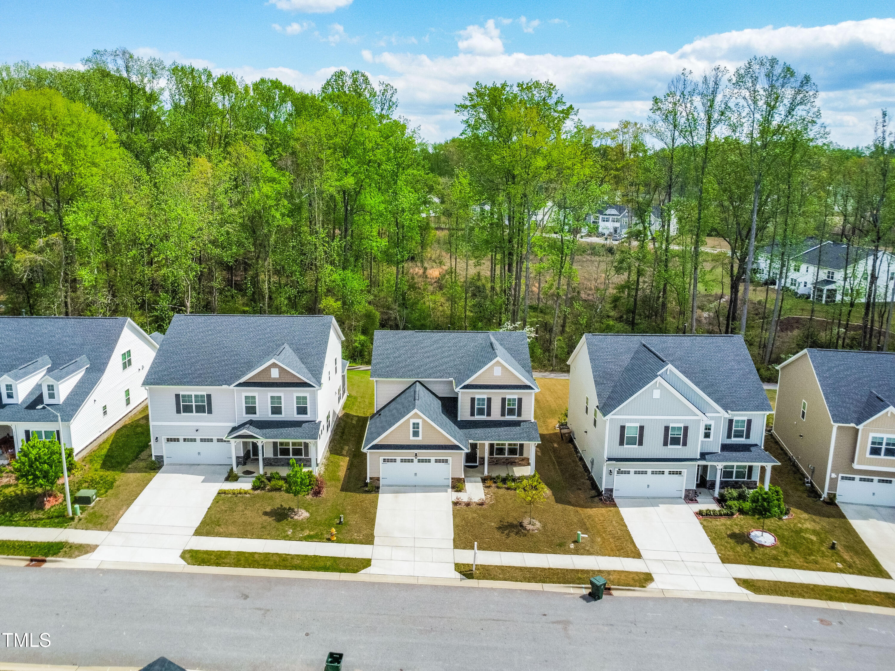 270 Trailing Blf Way