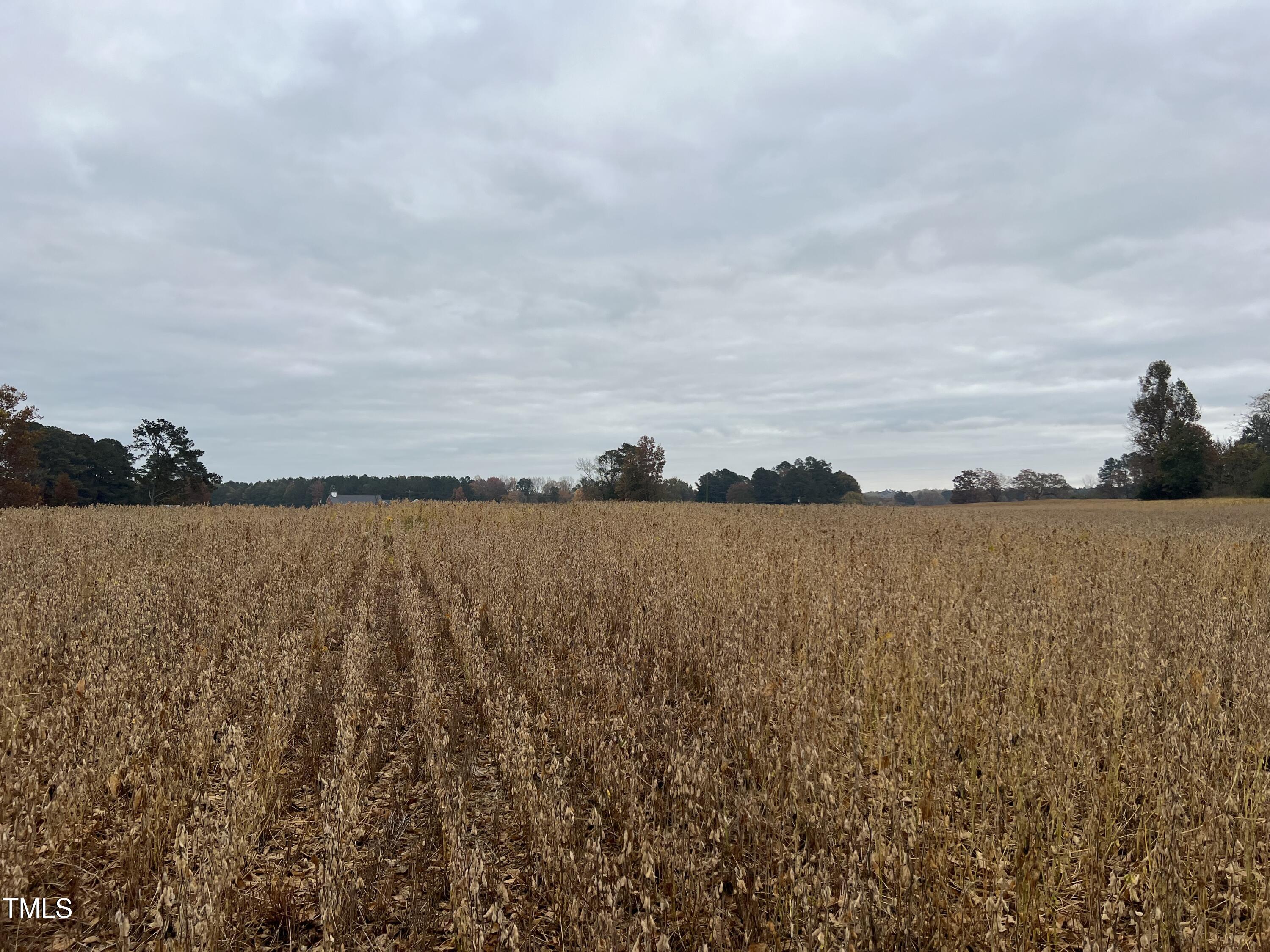 00 Walnut Grove Church Road