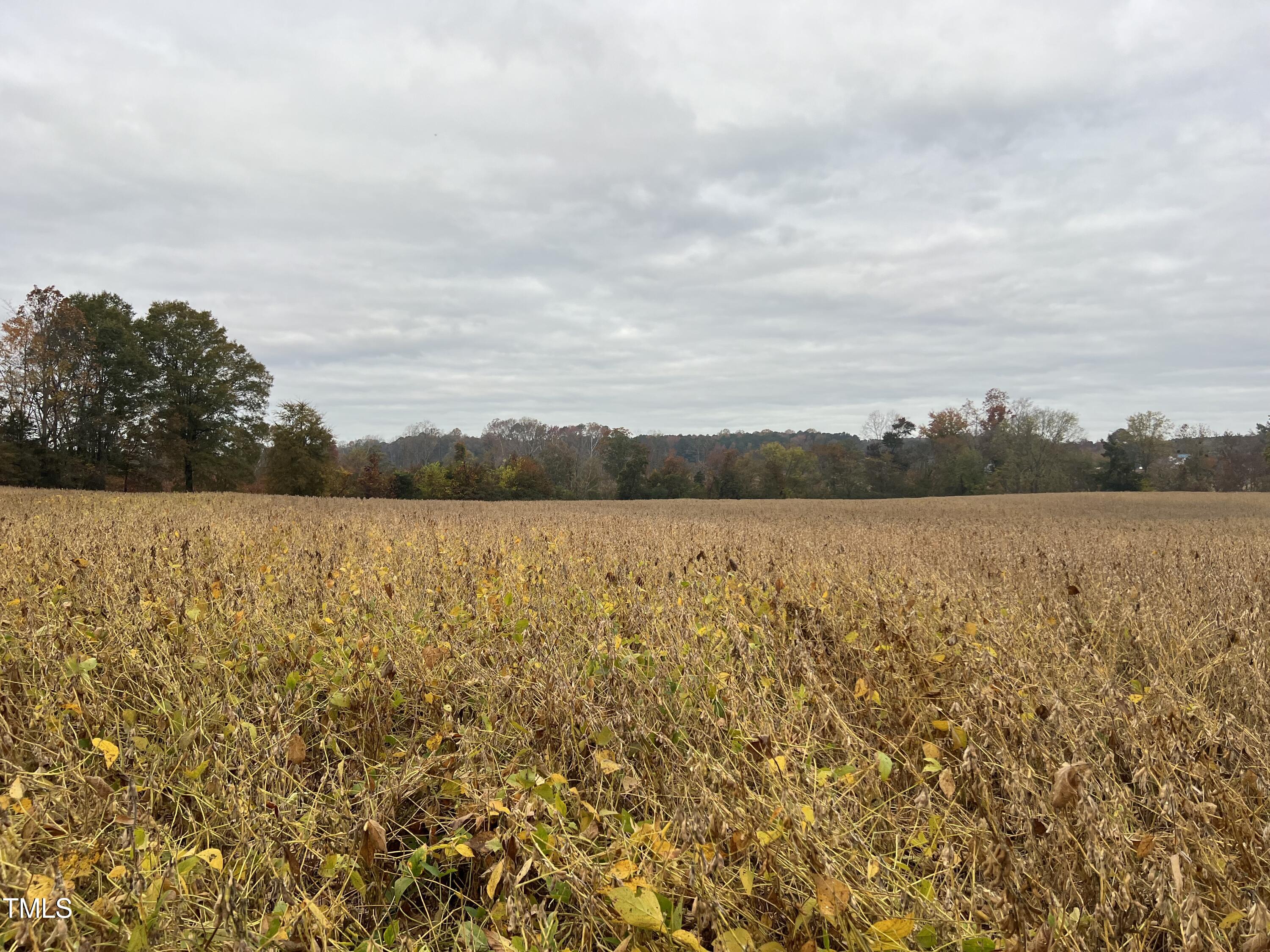 00 Walnut Grove Church Road