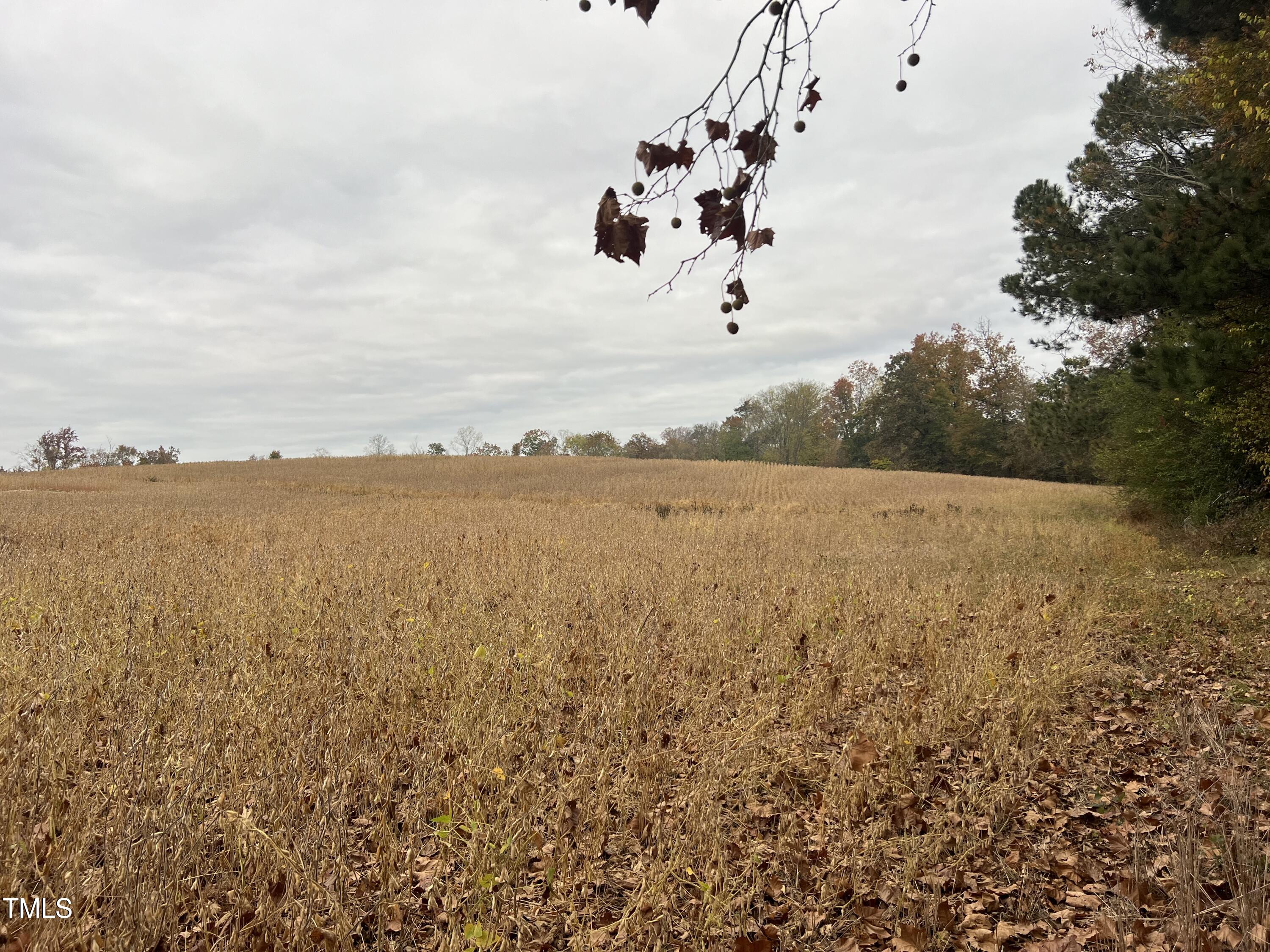 00 Walnut Grove Church Road