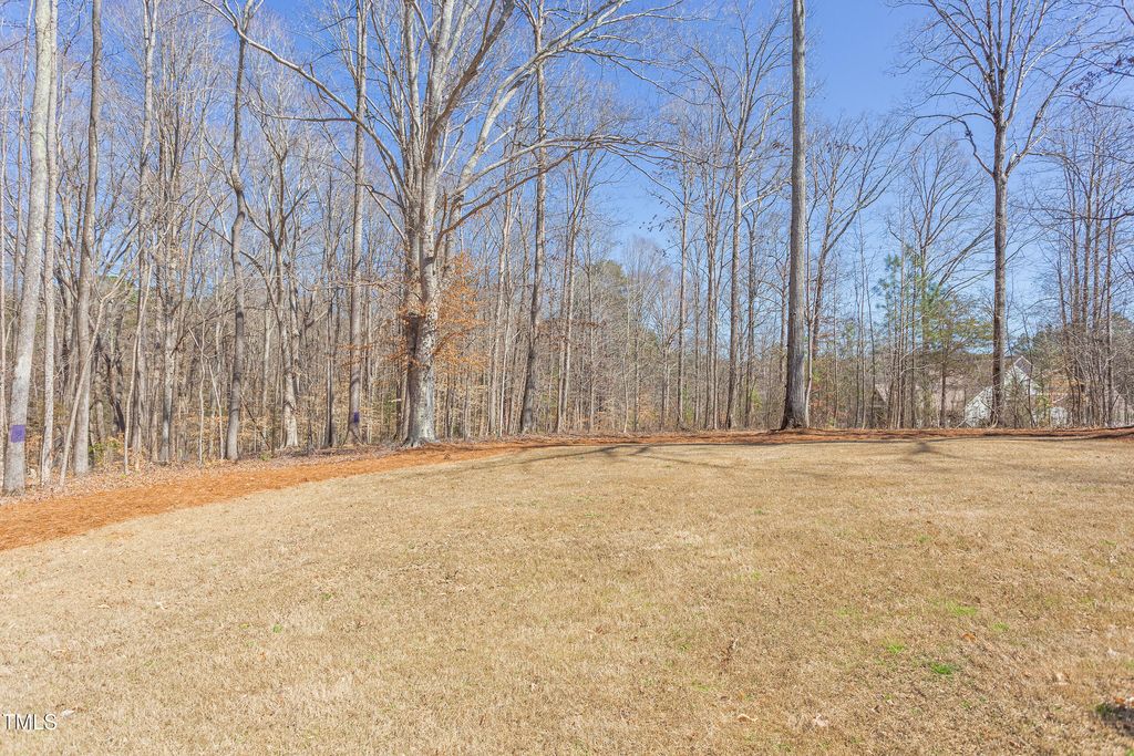 listing image 65