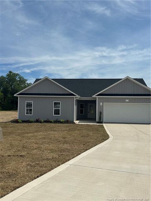 Photo of 26 Chariot Circle, Lumber Bridge, NC 28357 (MLS # LP748289)