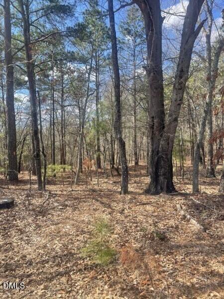 0 N Horace Walters Road