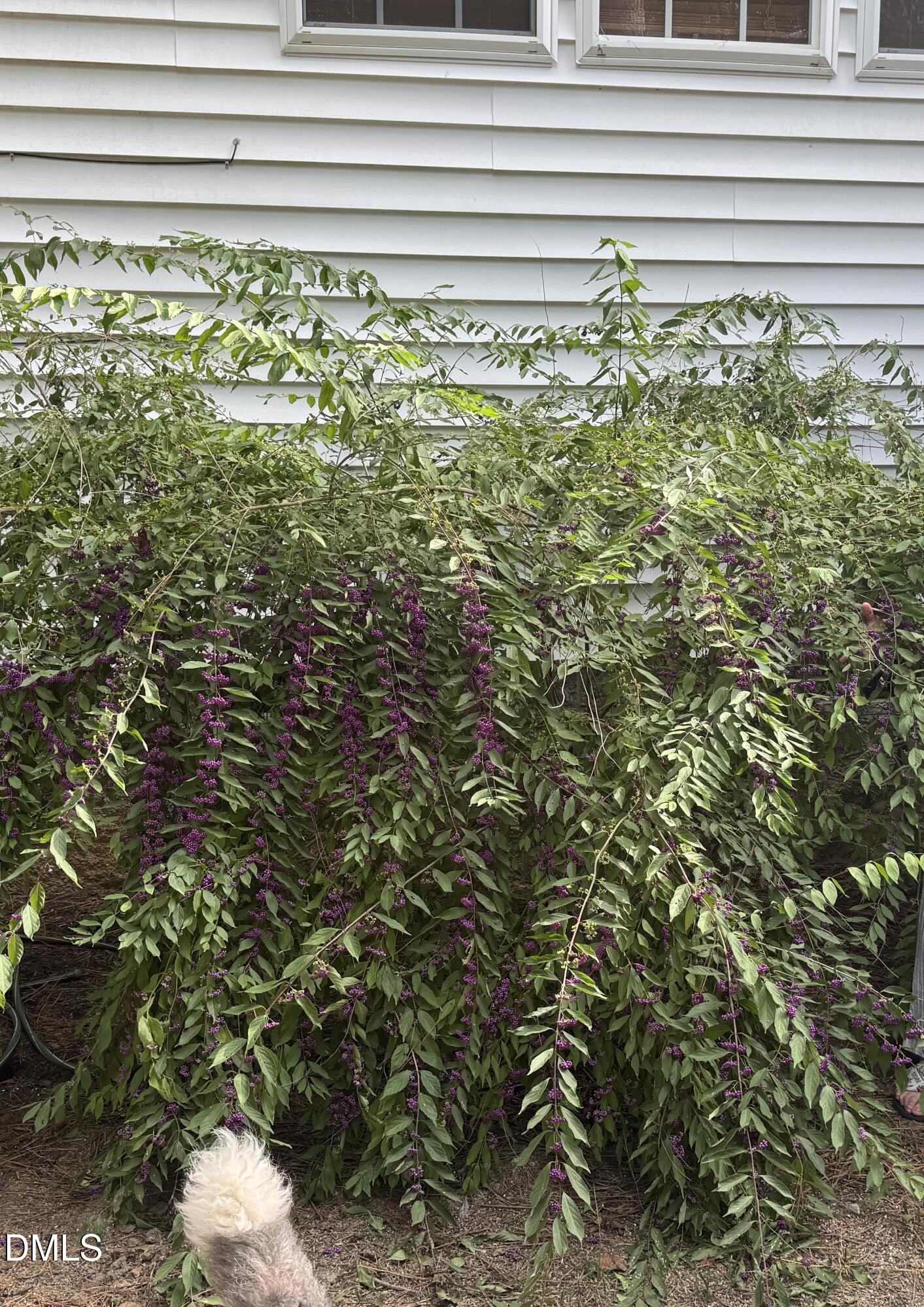 1011 Scotsburg Trail