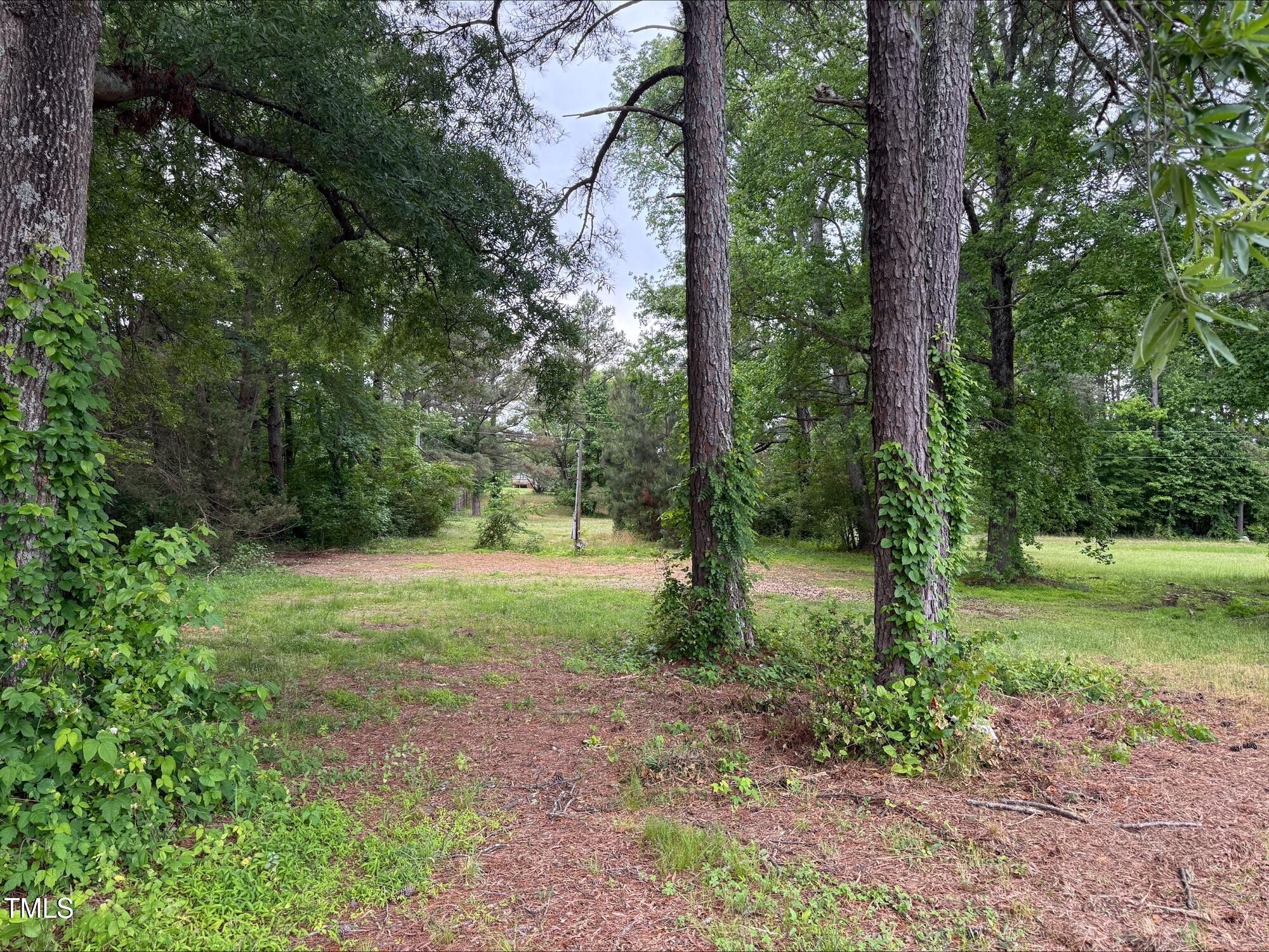63 Mount Olivet Church Road