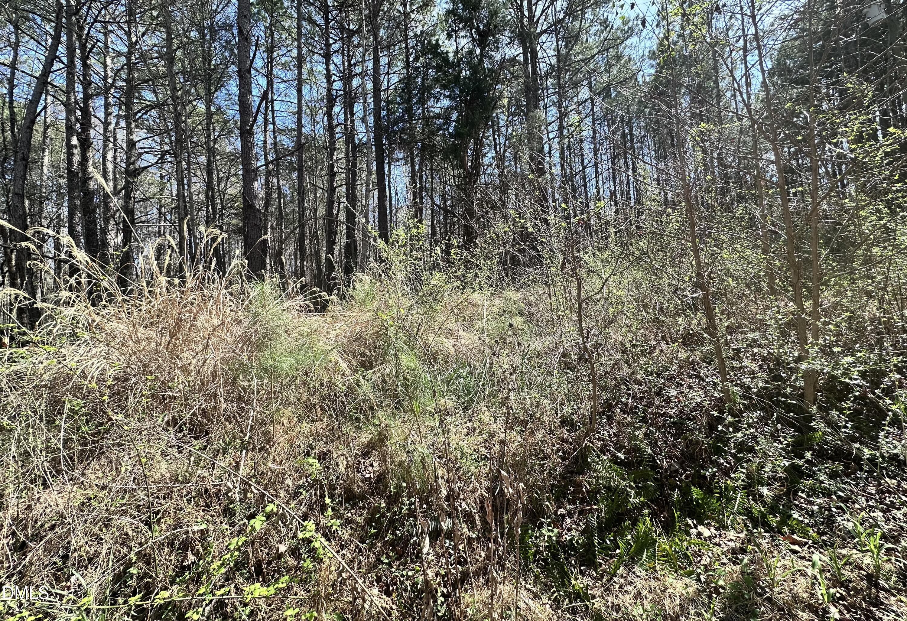 0 Pleasant Hill Church Road