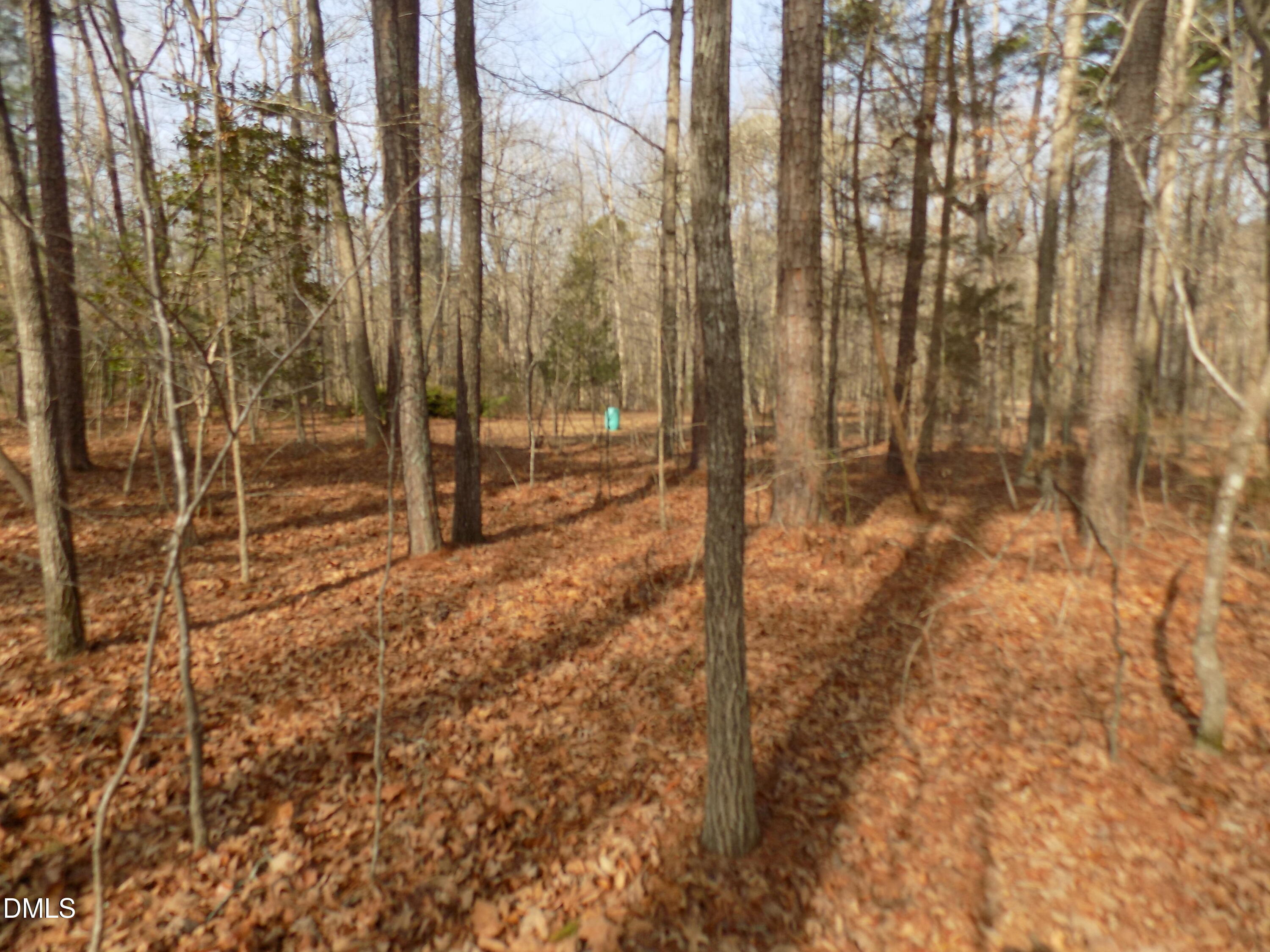 598 Moores Pond Road