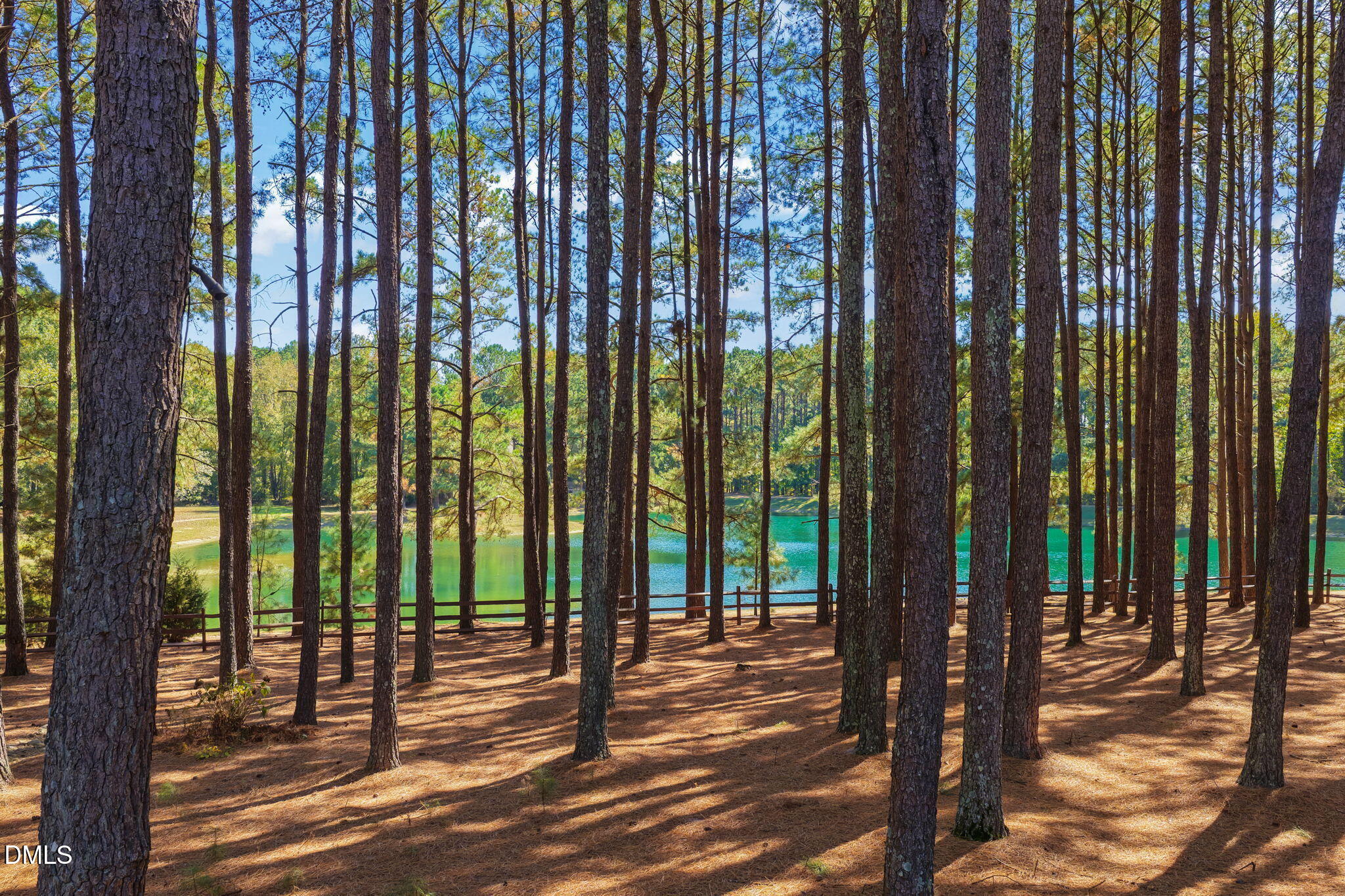 1028 White Fir Drive