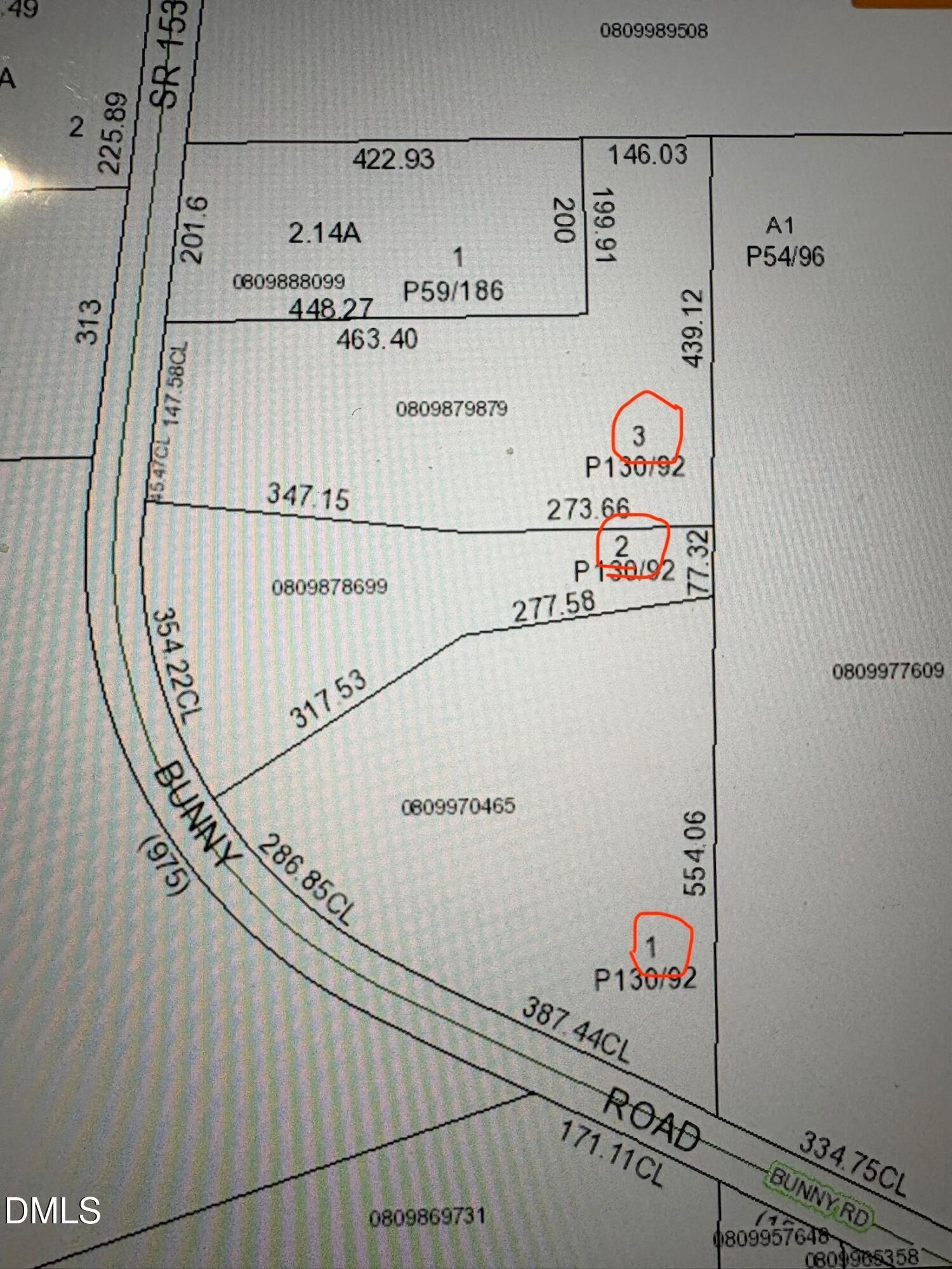 0809878699 Bunny Road