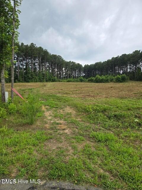 Lot 51 Roseheath Court Bailey NC 27807