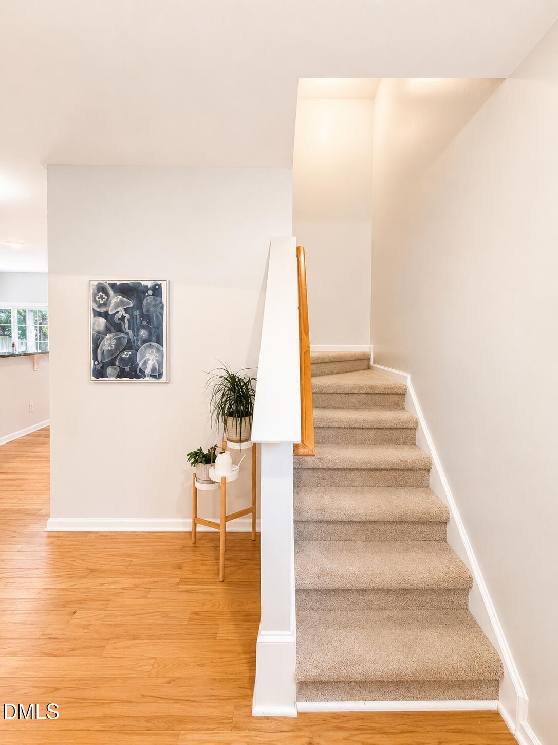 2916 Smooth Stone Trail