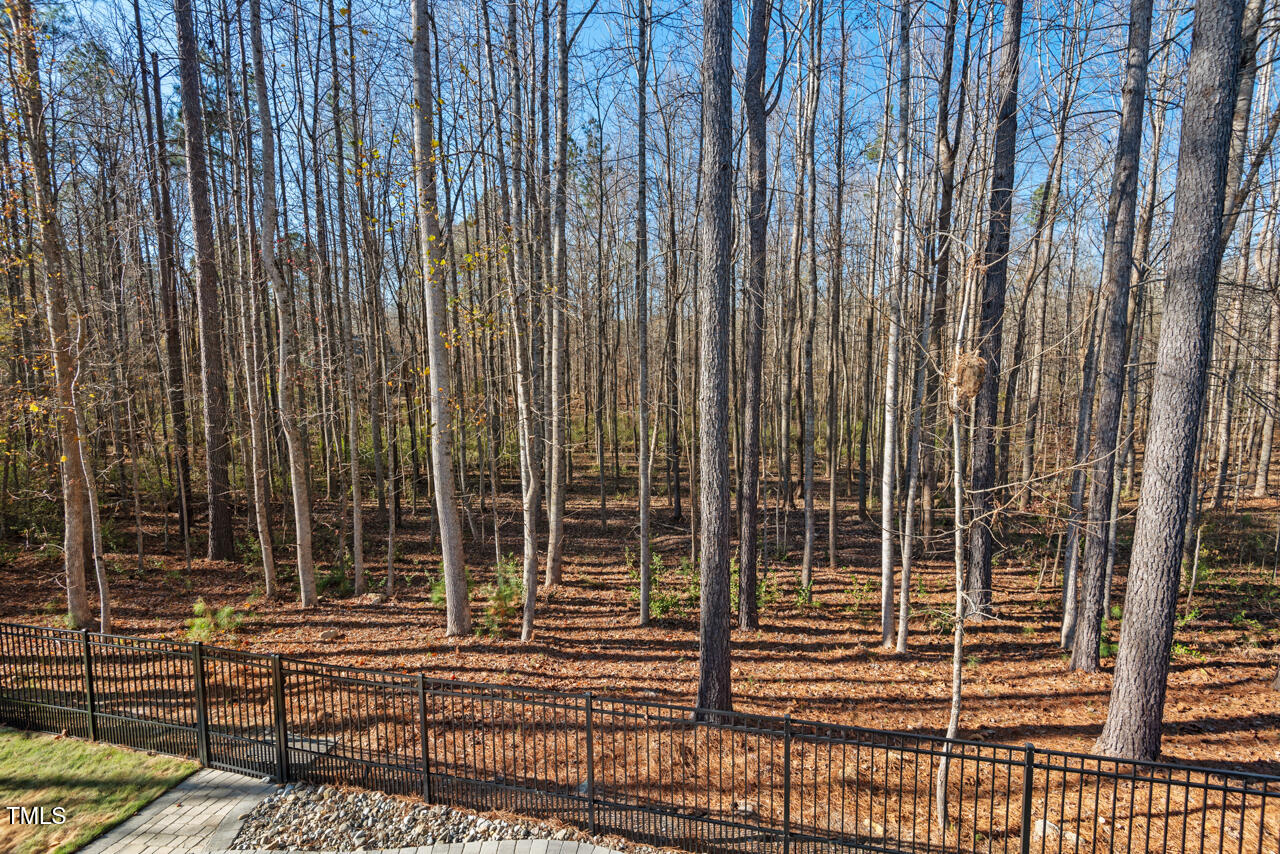 Pittsboro, North Carolina 27312, United States, 5 Bedrooms Bedrooms, ,4 BathroomsBathrooms,Residential,Pending,18420