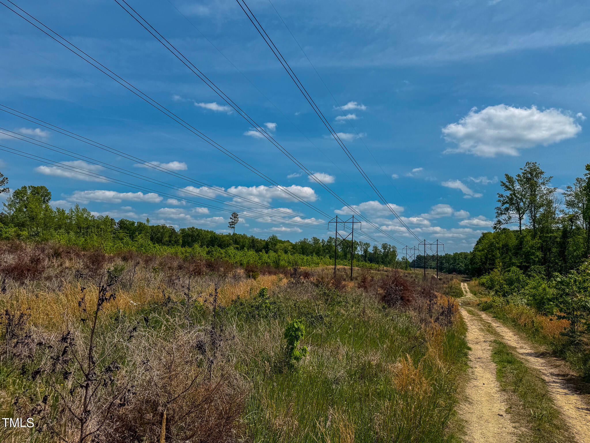 167.10 Leasburg Road