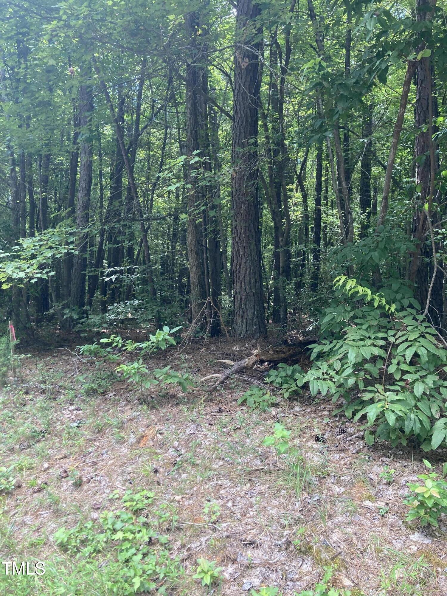 1614 Jones Ferry Rd Road