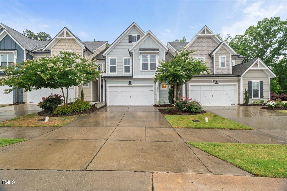 3215 Retama