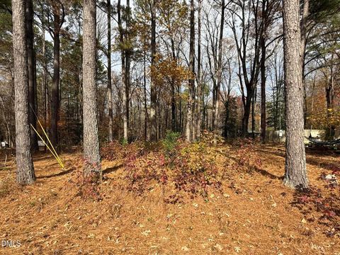 Photo of 131 Catoose Drive, Louisburg, NC 27549 (MLS # 10134240)