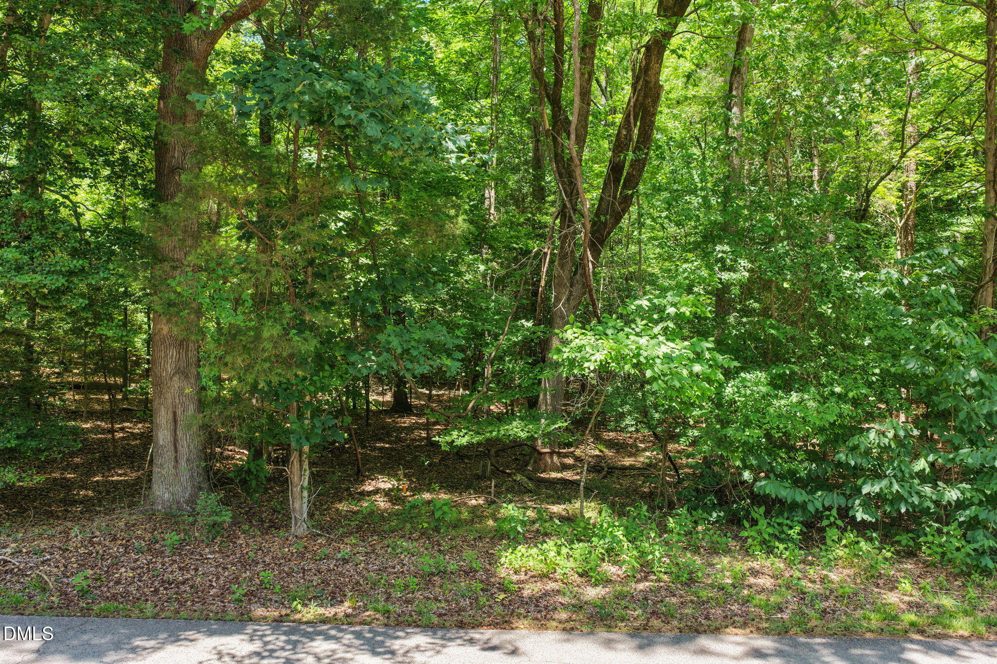 313 Lakepoint Drive