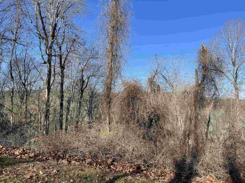 Photo of 39417 Glenn Glade, Chapel Hill, NC 27517 (MLS # 10174507)