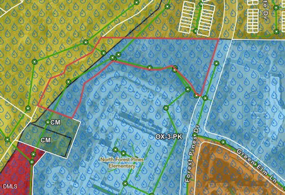 11601 Forest Pines Drive