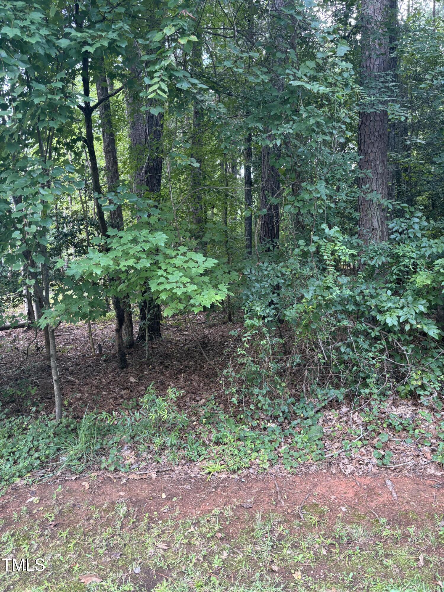 116 Blackfoot Drive