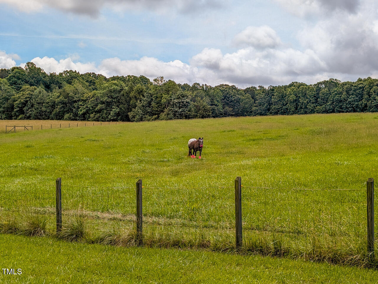 Mebane, North Carolina 27302, United States, ,Land,Active,142094