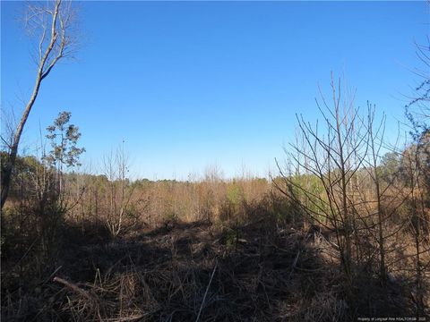 0 Melvin Lane Sanford NC 27330