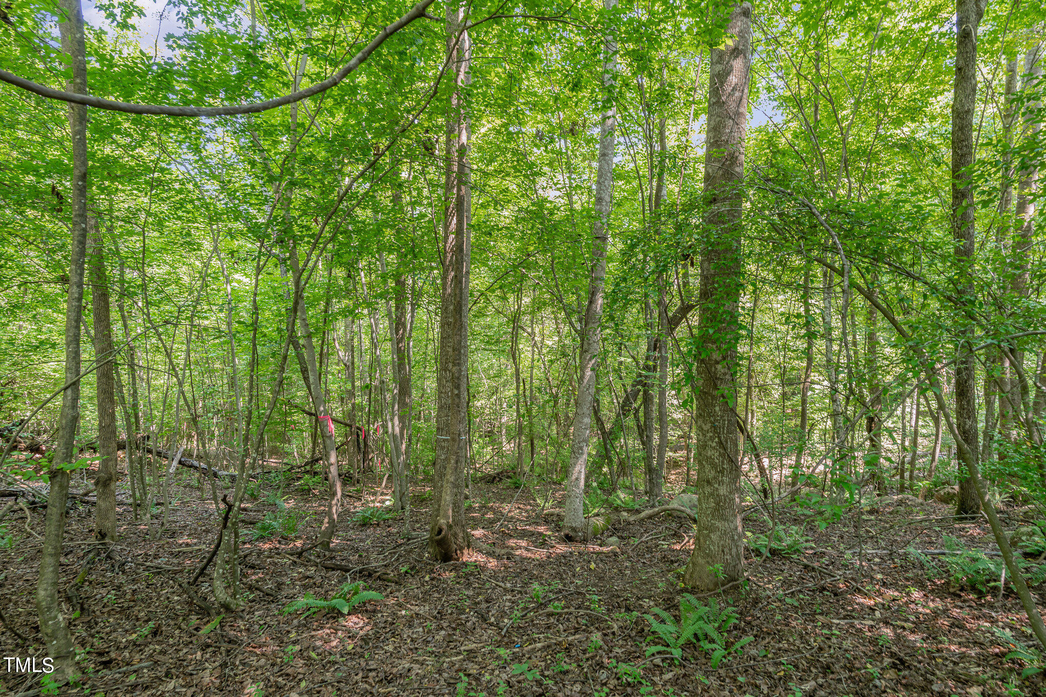 222 Kenwood Lane