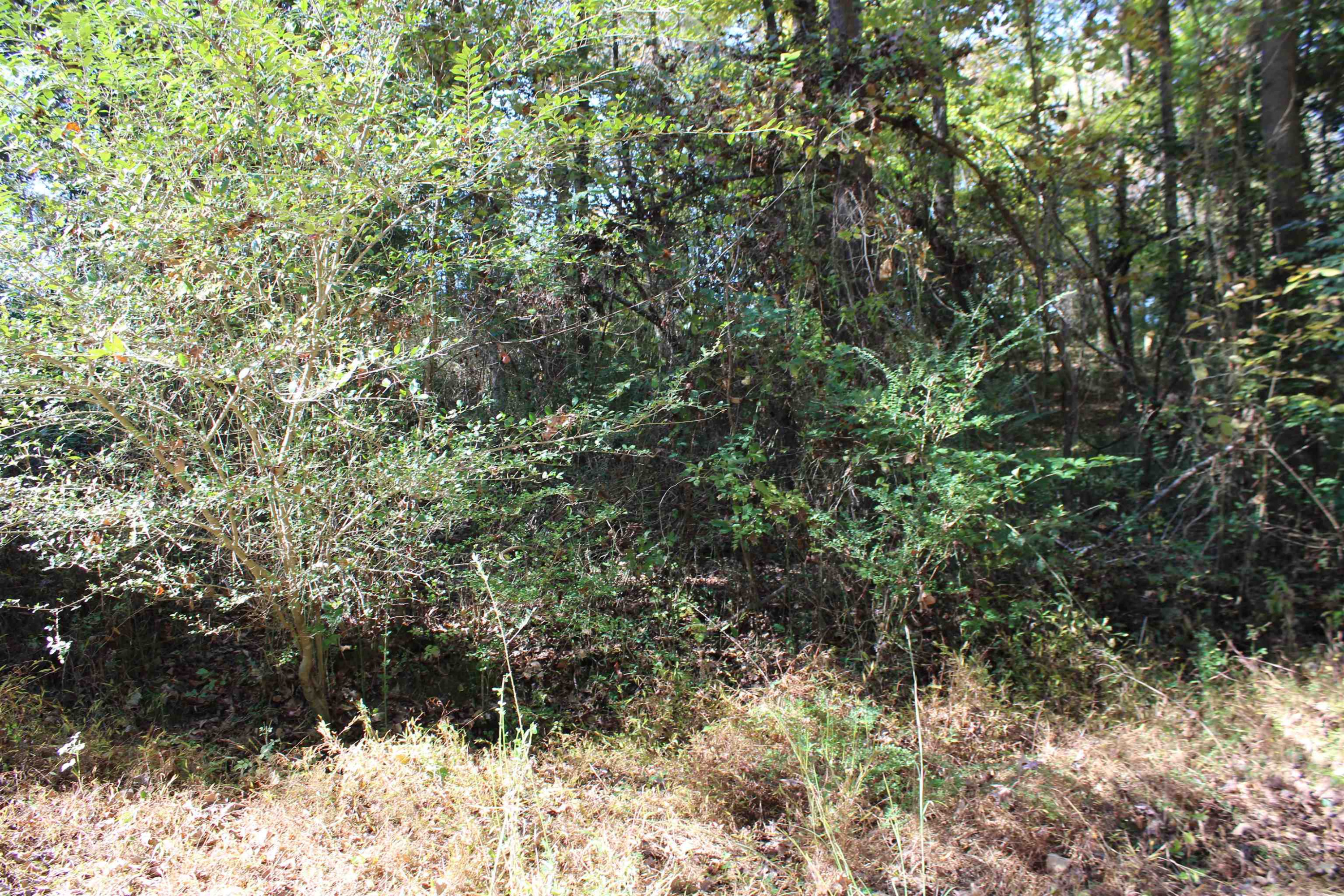 3022 Colony Drive