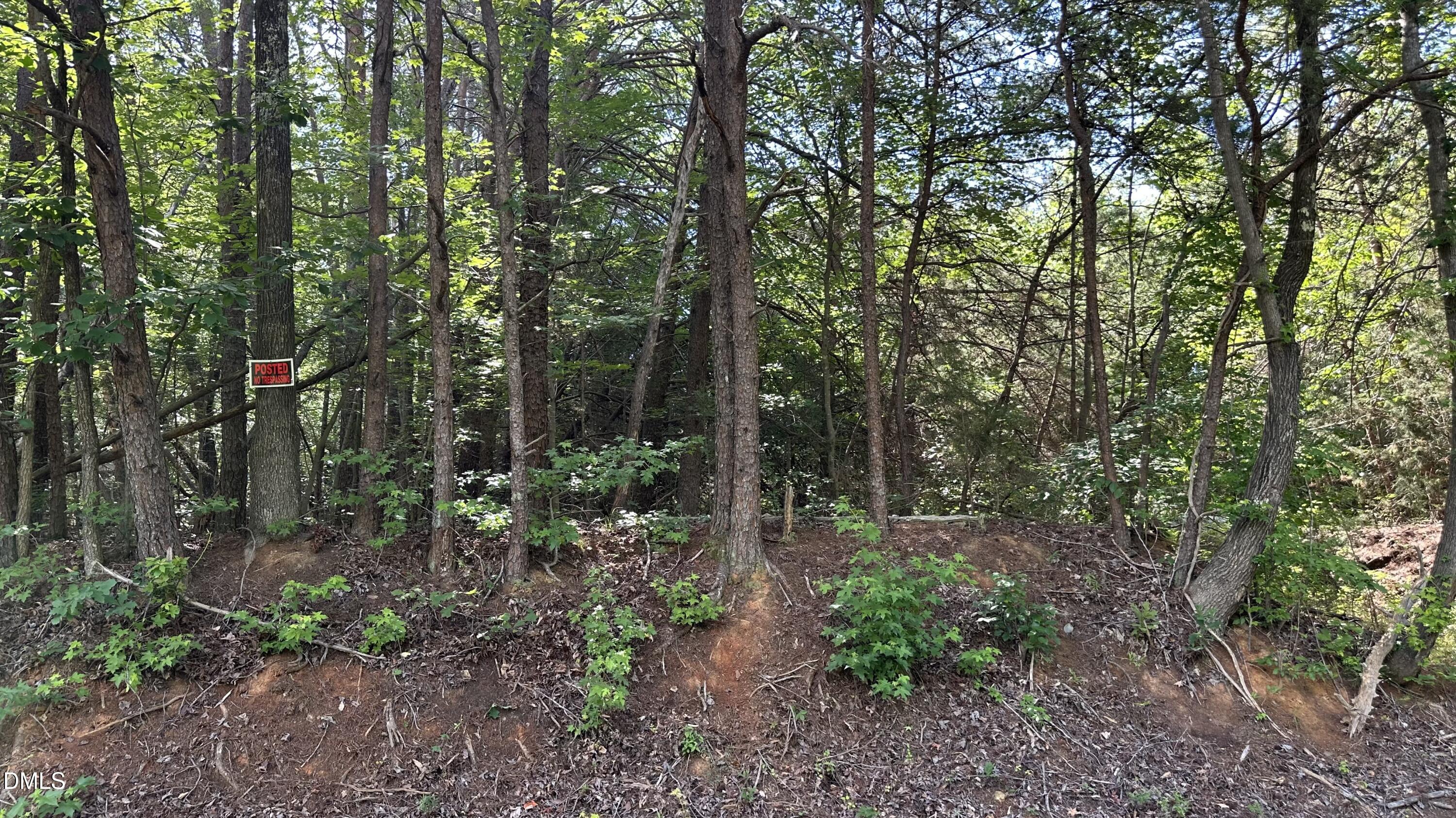 3016 Carver Road