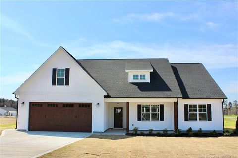 24 Surles Landing Way Benson NC 27504