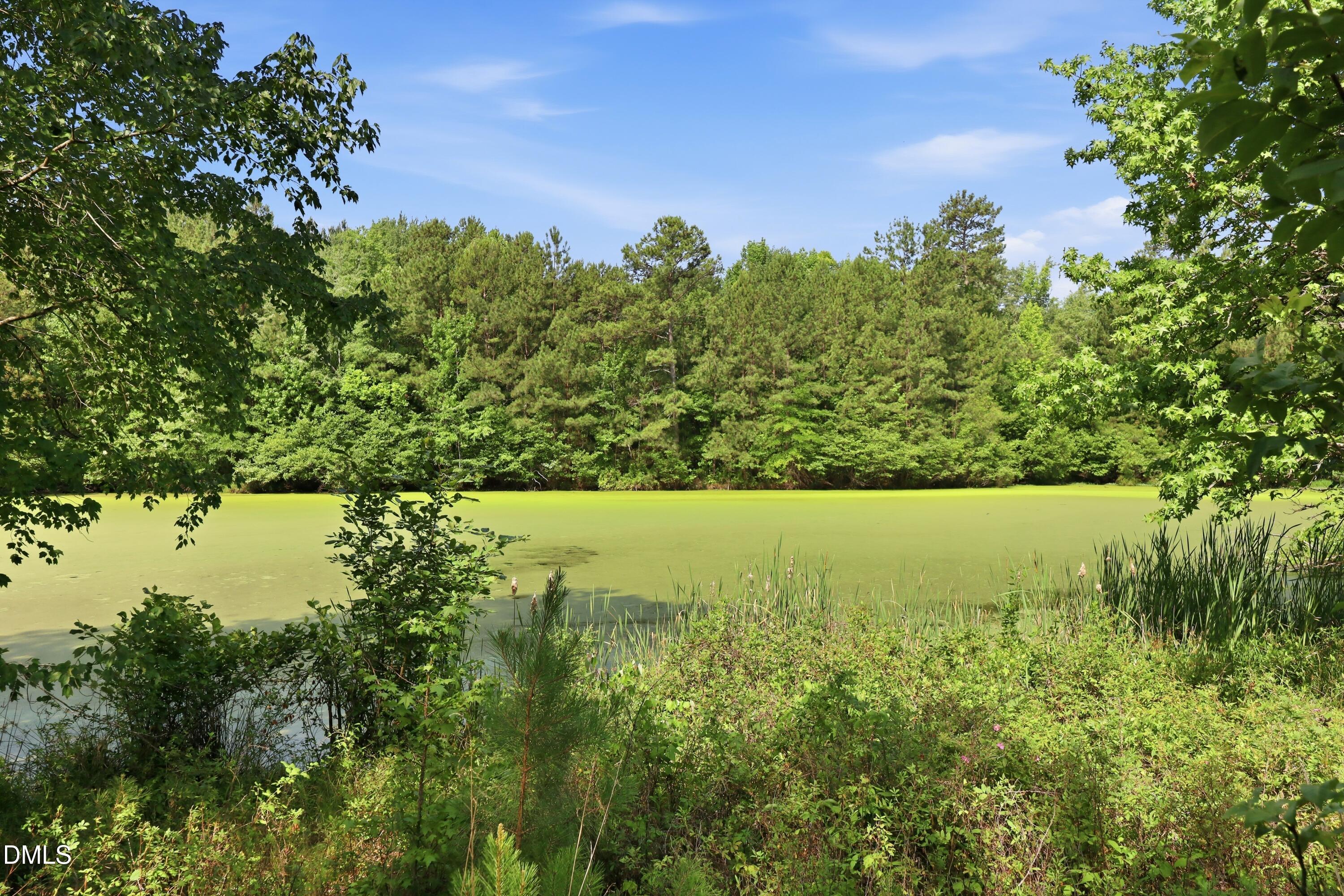 1791 County Home Road