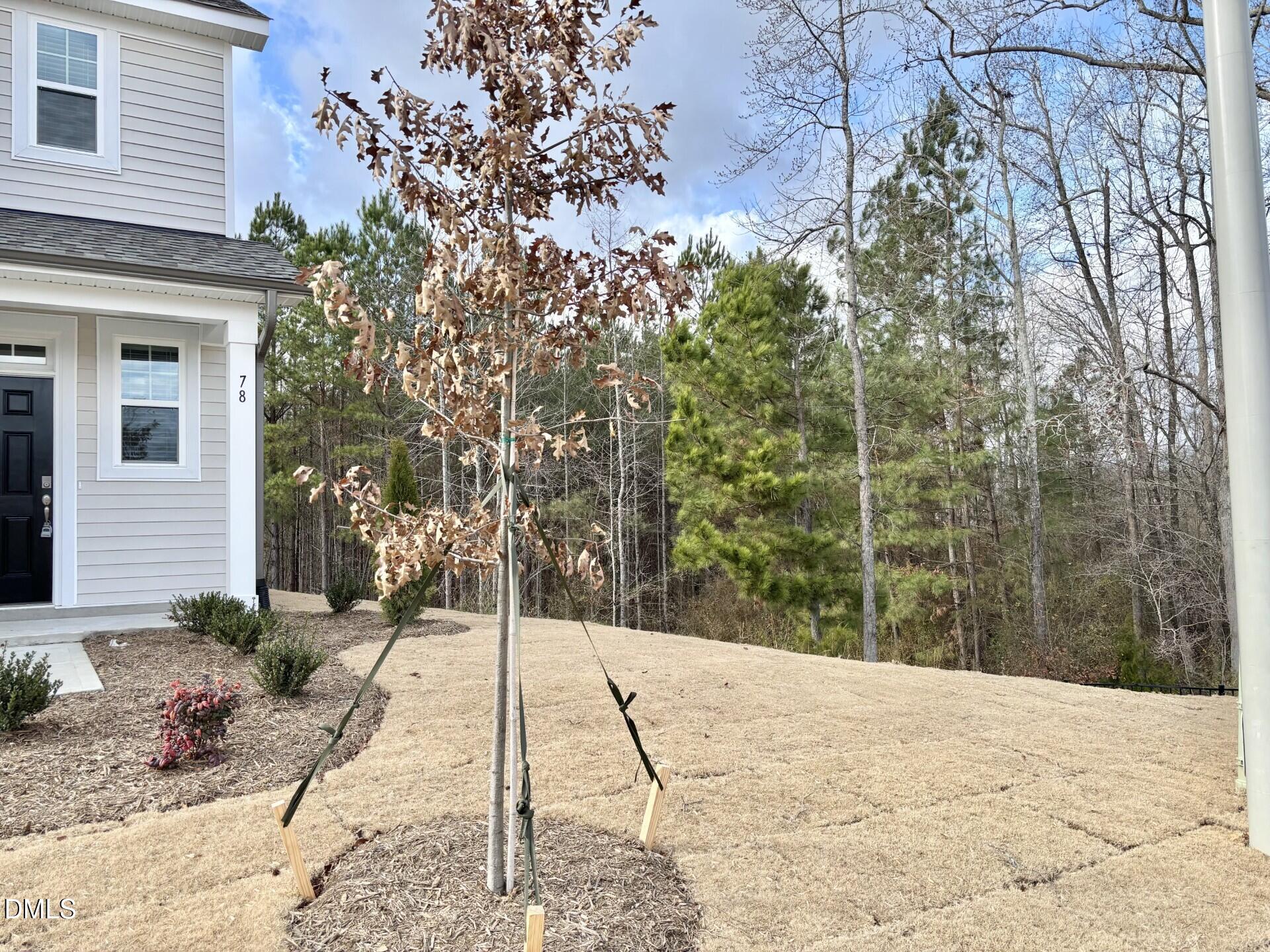 78 Creekhaven Road 79