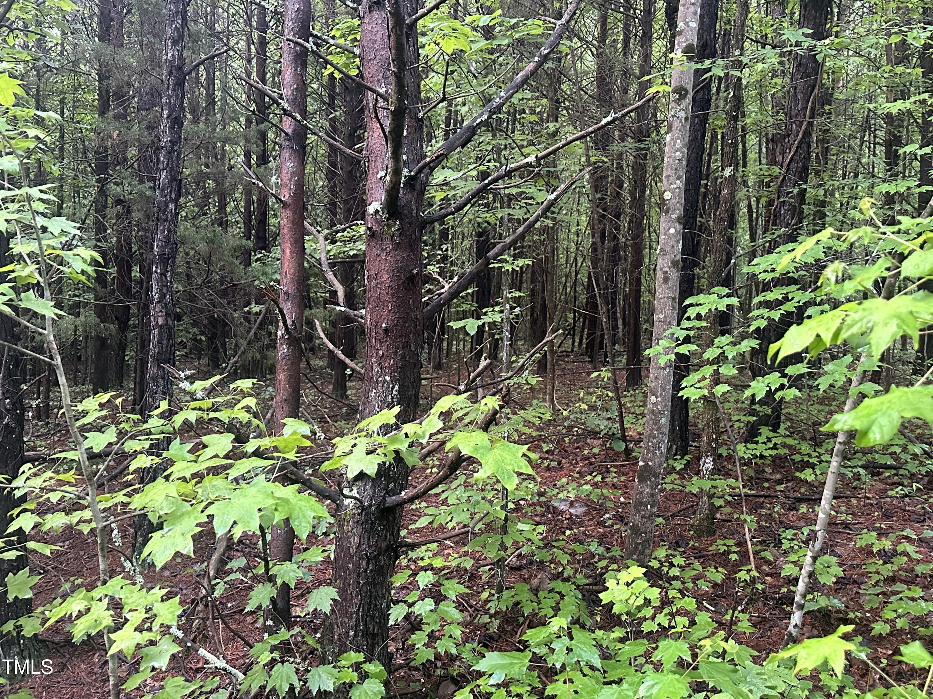 Lot 5 Mudlee Drive