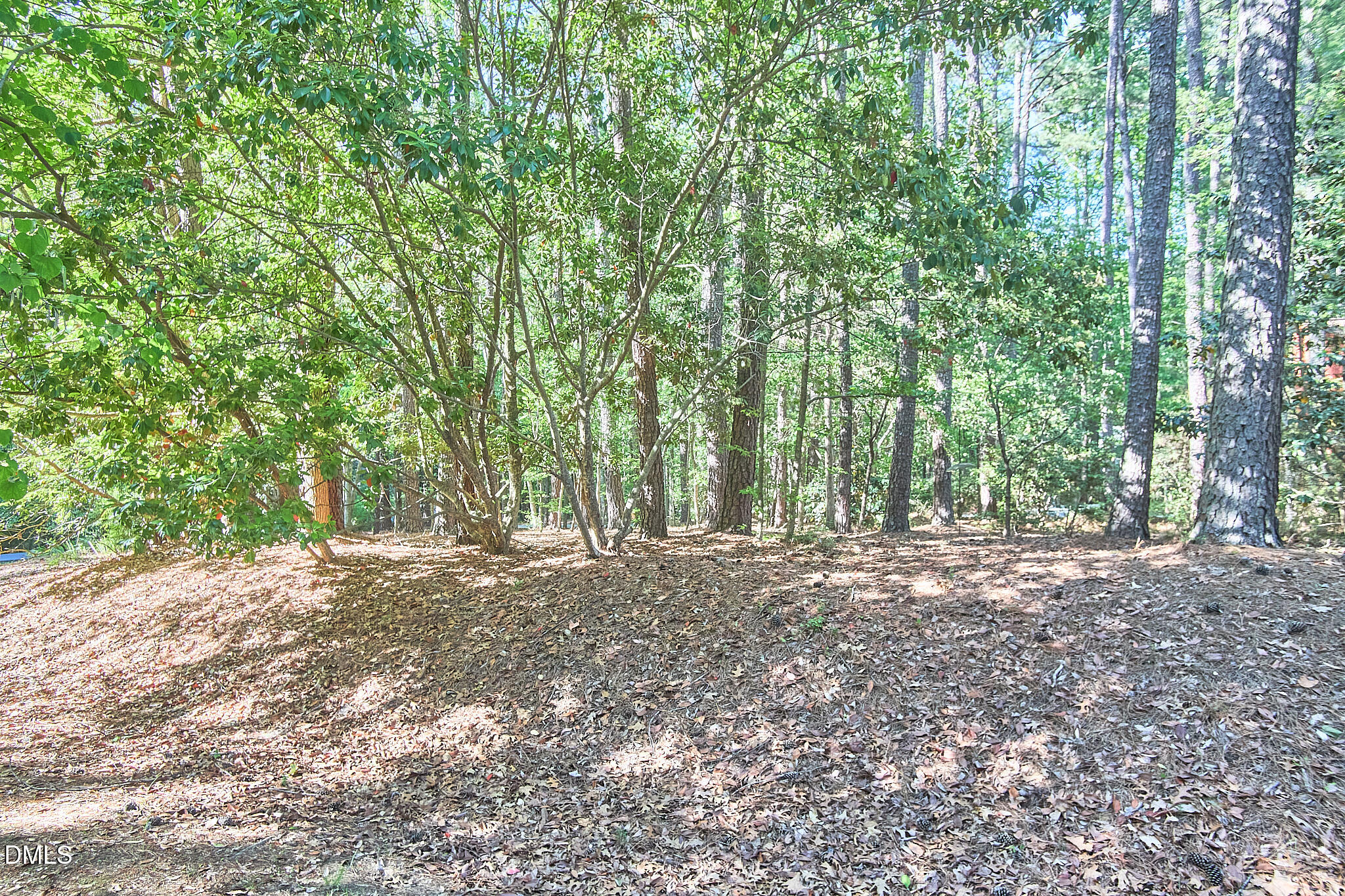 152 Cedar Hills Circle