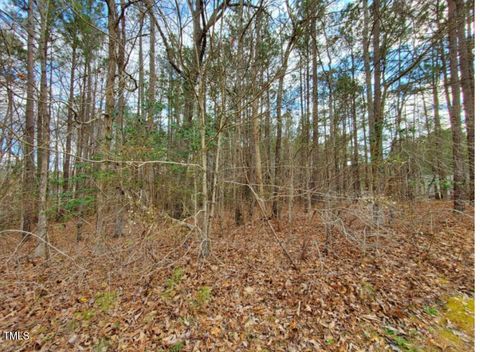 Unimproved Land in Youngsville NC 145 Owl Drive.jpg