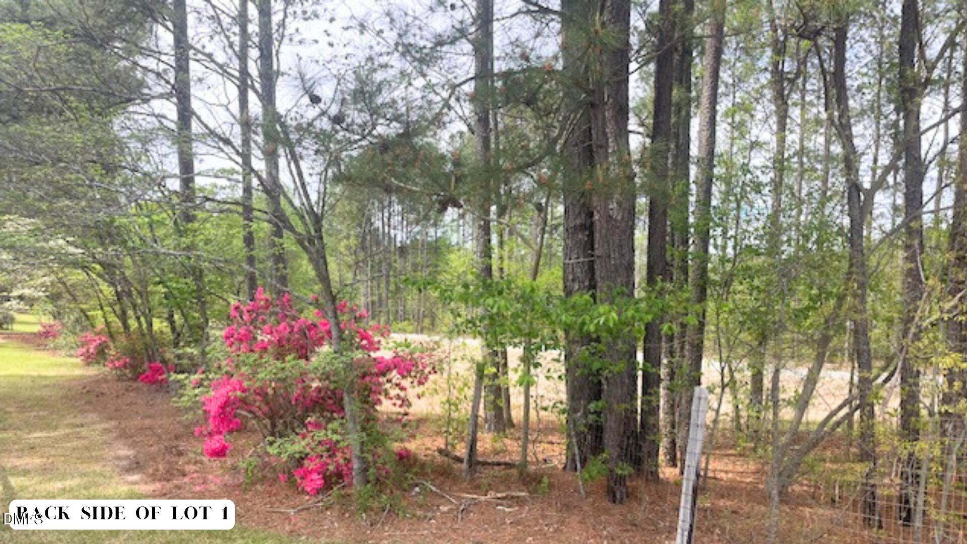 55 Weston Sky Ln