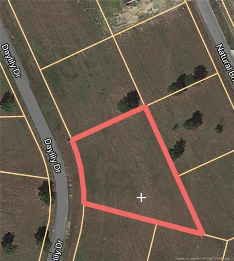 Daylily Drive Lumberton NC 28360