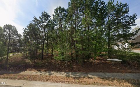 Photo of 7474 Birchbend Drive, Lewisville, NC 27023 (MLS # 10137088)