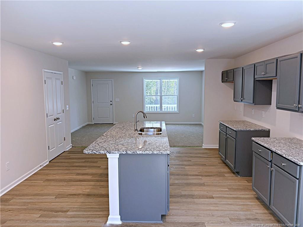 224 Appaloosa Drive