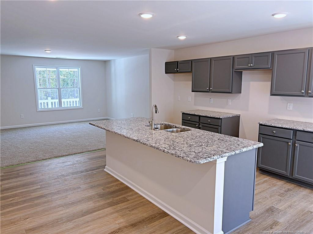 224 Appaloosa Drive