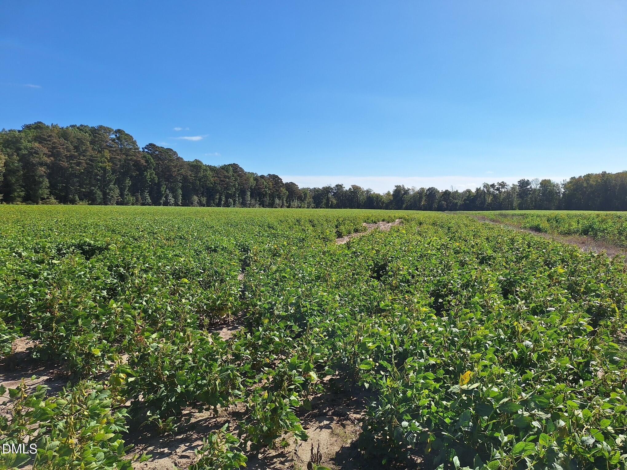 Tract 1 1676 Ross Road