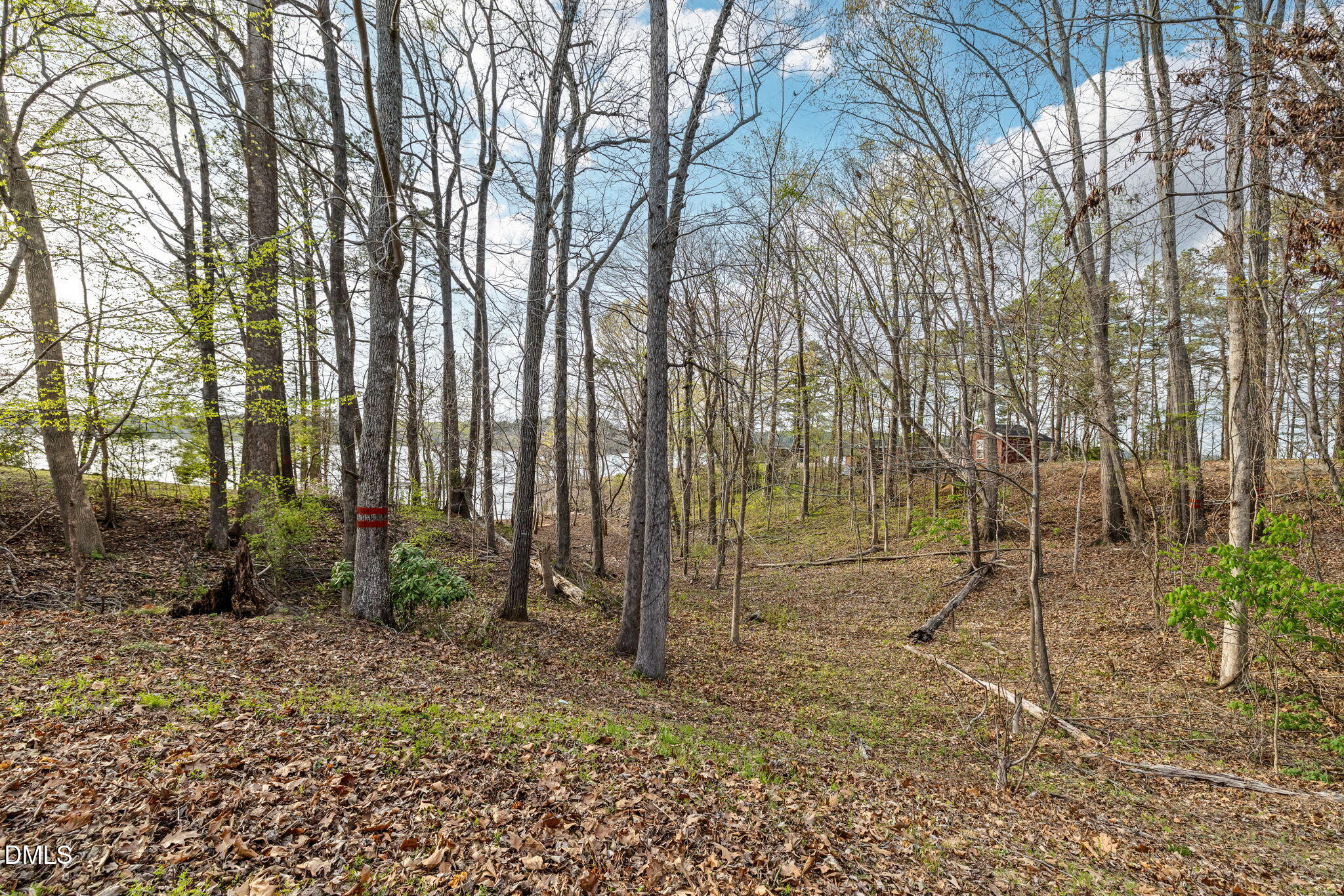 114 Wester Road