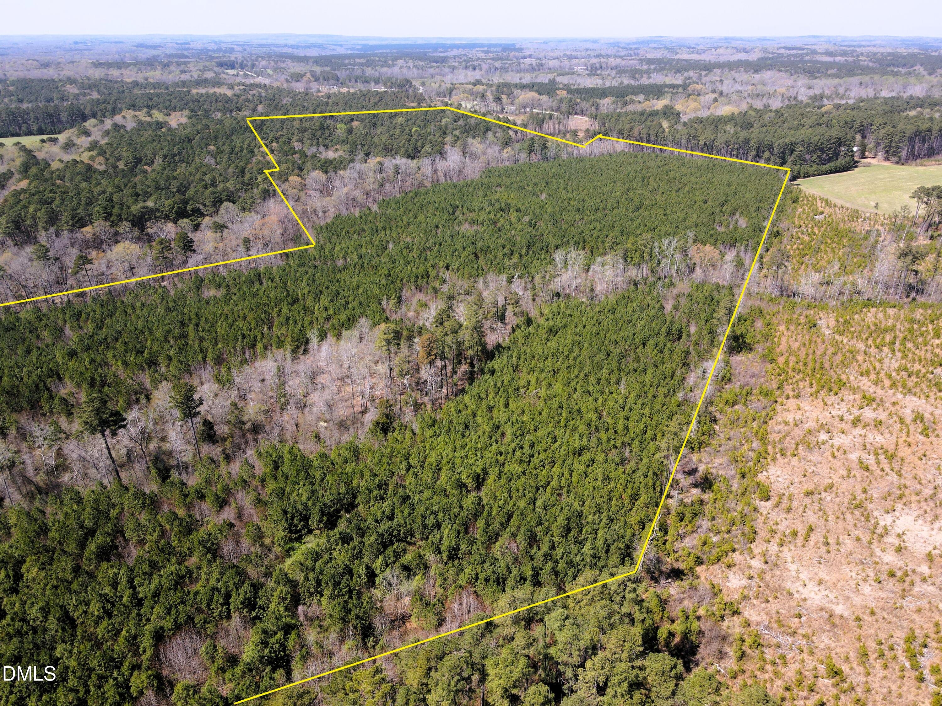 01 Collins Mountain Road